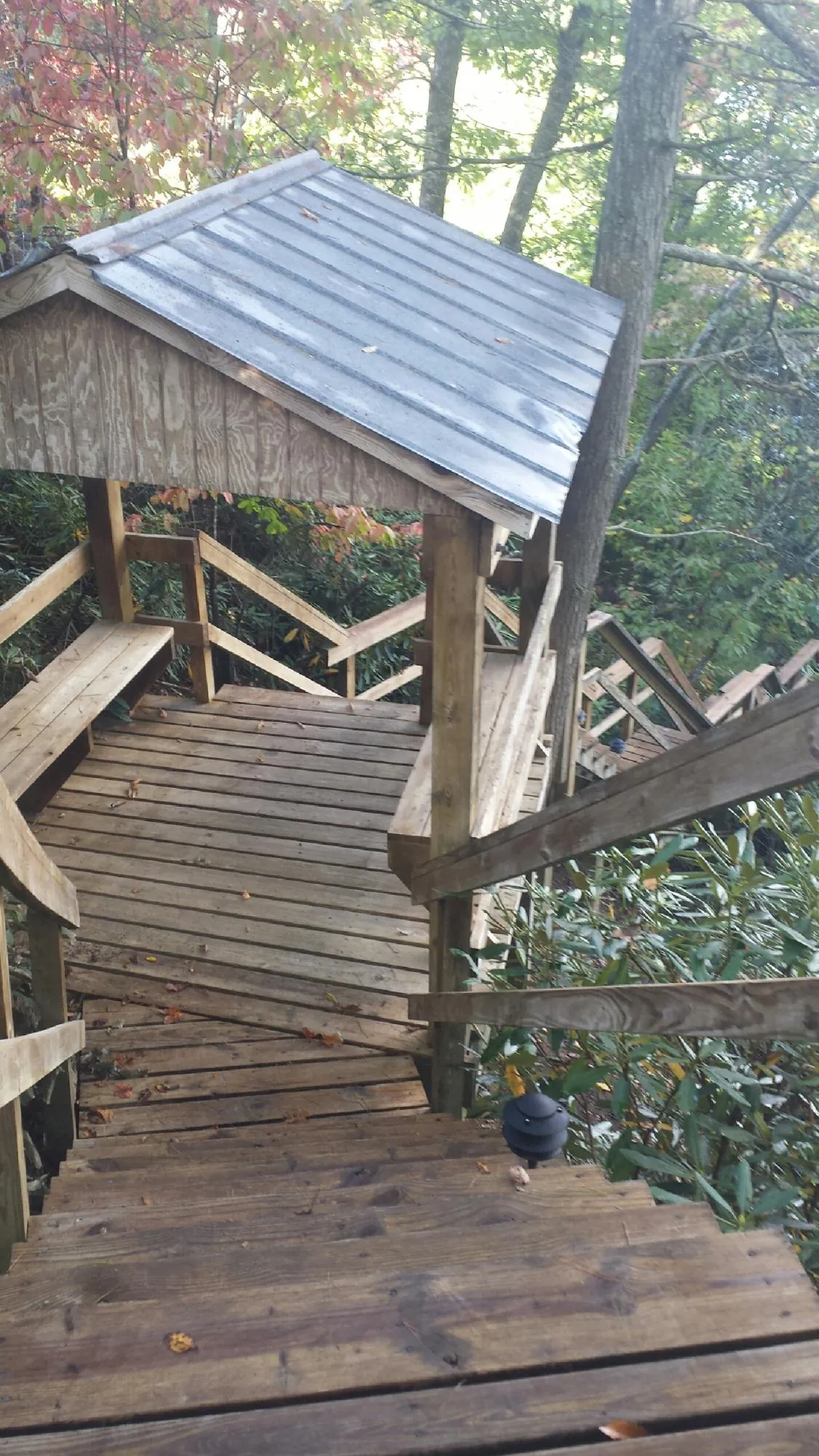 Metal roofed shelter over wooden steps on a wooded walkway — Skylight Repair & Installation work by our crew in Fort Gaines